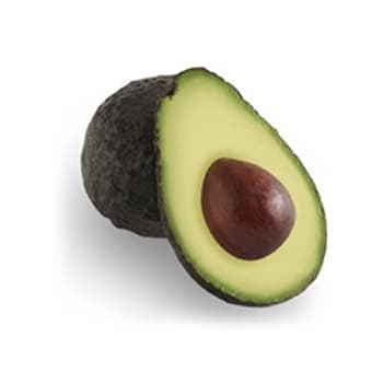 Palta