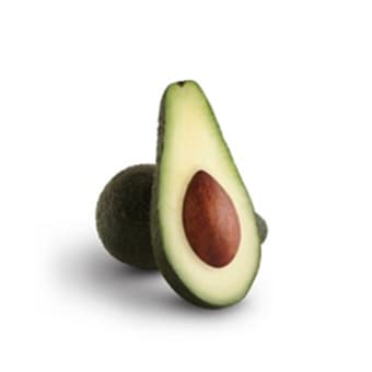 Palta