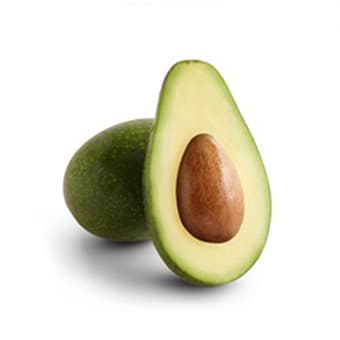 Palta